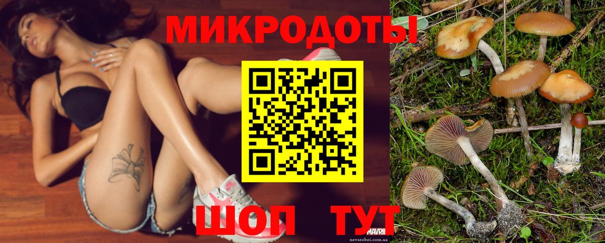 Галлюциногенные грибы прущие грибы  Вход с VPN  Славгород 